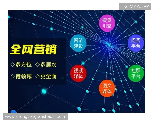 壹号网站：探索壹号网站在数字营销中的应用与成功案例